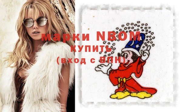 шишки Беломорск