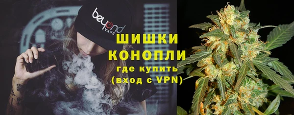 шишки Беломорск