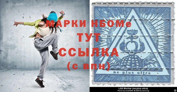 шишки Беломорск